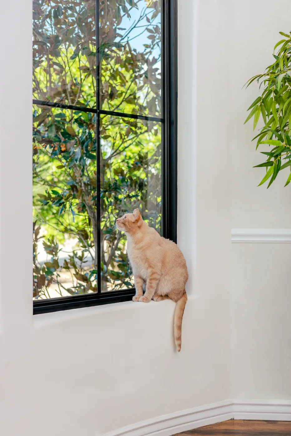 reliable window replacement friona tx amarillo solar shade