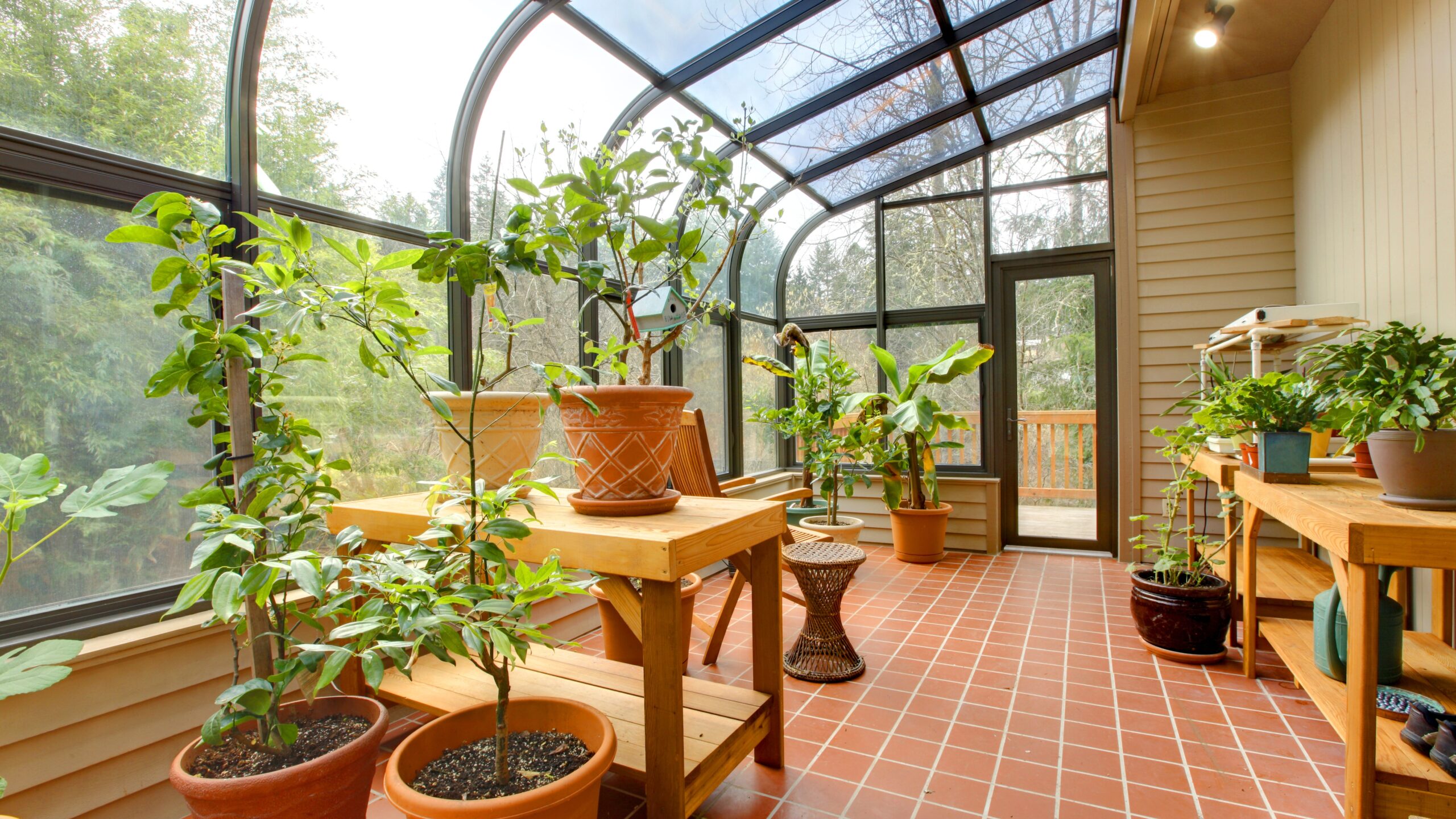 A sunroom with glass walls and ceiling, orange floor tiles, and several plants