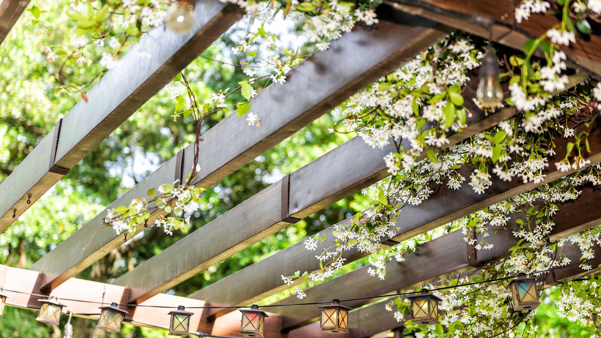 A brown pergola with small white flowers intertwined through the panels